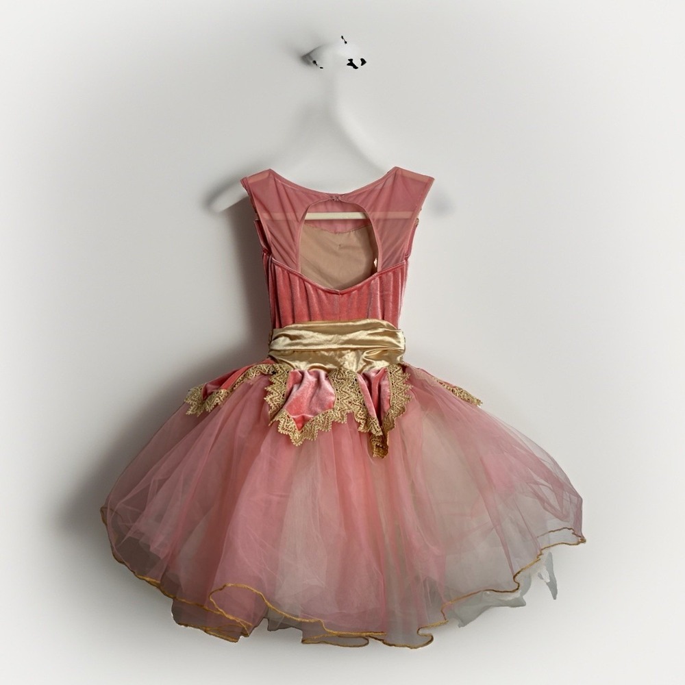 Weissman Size Kids Small Girls Child Gold And Pink Ballet Dance Costume Tulle - Picture 5 of 16
